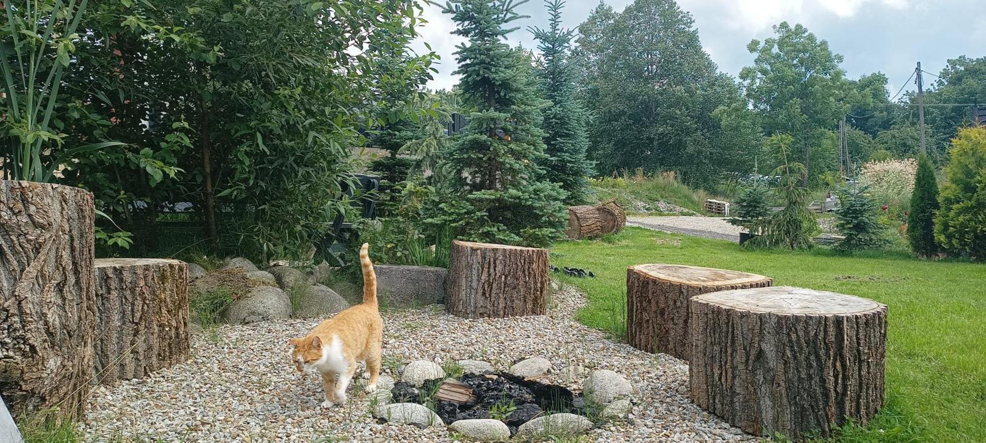 Lux Houses W Domku Tylko Dwa Apartamentyz Jacuzzi Zewnetrznym Groń Exteriör bild